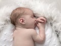 A newborn, cute, sleeping, tiny baby portrait, macro shot. Mom and her baby. The concept of a happy family Royalty Free Stock Photo