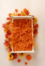 Newborn digital autumn background with pumpkins. Fall. Royalty Free Stock Photo