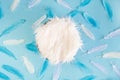 Newborn digital background with fur and feathers on blue backdrop Royalty Free Stock Photo