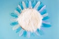 Newborn digital background with fur and feathers on blue backdrop Royalty Free Stock Photo