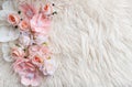 newborn digital background with pink flowers and fir backdrop