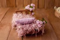 Newborn Digital Background Spring rose Basket Prop for Newborn Royalty Free Stock Photo