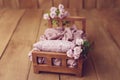 Newborn Digital Background Spring rose Basket Prop for Newborn Royalty Free Stock Photo