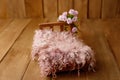 Newborn Digital Background Spring rose Basket Prop for Newborn