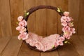 Newborn Digital Background Spring rose Basket Prop for Newborn