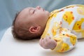 Newborn Ducky Theme Royalty Free Stock Photo