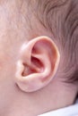 Newborn ear close up