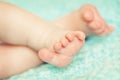 Newborn feet