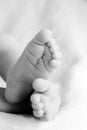 Newborn feet Royalty Free Stock Photo