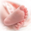 a newborn feet with white and pink background photograph taken with the nikexe af Royalty Free Stock Photo