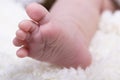 Newborn foot