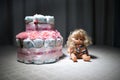 Newborn gift concept. Cake of diapers. Wrapped diapers as cake with flowers. Cake of wrapped clean diaper on table with baby doll