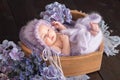 Newborn girl bites fingers lying in basket among flowers Royalty Free Stock Photo