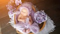 Newborn girl in heart-shaped basket among purple flowers Royalty Free Stock Photo