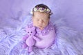 A newborn girl sweetly sleeping in a cocoon on a lilac background fur in a beautiful cap, art photo of a newborn baby Royalty Free Stock Photo