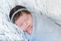 Newborn girl in blue wrap Royalty Free Stock Photo