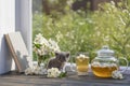 Newborn gray kitten near glass tea pot, a cup and a beautiful bouquet of jasmine flowers on the windowsill Royalty Free Stock Photo