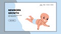 Newborn Growth And Development Process Vector