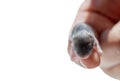 A newborn hamster on a human finger. Isolate. Baby mouse. Macro photography