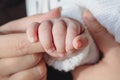 The newborn is holding a finger of mother. The baby holding parents finger. Baby's grasp reflex Royalty Free Stock Photo