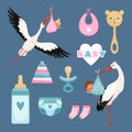 Newborn icons set. Cute items for kids dresses flowers toys toddler flying stork with baby vector colored items Royalty Free Stock Photo