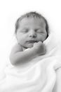 Newborn Infant Royalty Free Stock Photo