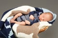 Newborn infant baby sleeping in a basket Royalty Free Stock Photo