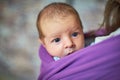 Newborn infant baby in a sling Royalty Free Stock Photo