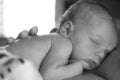 Newborn Infant sleeping black and white Royalty Free Stock Photo