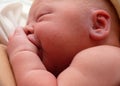 Newborn infant sucking his thumb Royalty Free Stock Photo