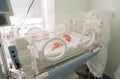 Newborn innocent baby sleeping in an incubator