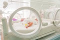 Newborn innocent baby sleeping in an incubator