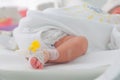 Newborn innocent baby sleeping in an incubator Royalty Free Stock Photo