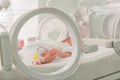 Newborn innocent baby sleeping in an incubator Royalty Free Stock Photo