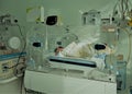 Newborn innocent baby sleeping in an incubator