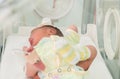 Newborn innocent baby sleeping in an incubator Royalty Free Stock Photo