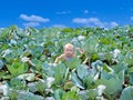 The newborn kid found in cabbage Royalty Free Stock Photo