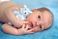 Newborn lies with the blue soft toy bear on the bed