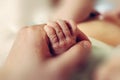 Newborn little hand hold by adult hand Royalty Free Stock Photo