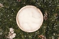 Newborn photography background - white bowl on pine tree background, with snow, pinecones and ornaments. Christmas newborn