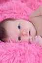 Newborn portrait, baby girl lying on pink background Royalty Free Stock Photo