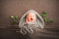 Newborn with rabbit ears. Spring photograph of a Newborn baby close-up and copy space