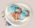 Newborn resting in round cradle Royalty Free Stock Photo