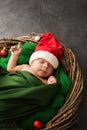 Newborn Santa is sleeping in a wreath Royalty Free Stock Photo