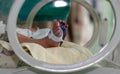 Newborn sick baby in an incubator Royalty Free Stock Photo