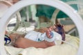 Newborn sick baby in an incubator Royalty Free Stock Photo