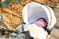 Newborn sleep stroller in the park in autumn