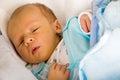 Newborn sleeping Royalty Free Stock Photo