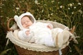 Newborn sleeping in a basket Royalty Free Stock Photo
