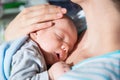 Newborn sleeping child Royalty Free Stock Photo